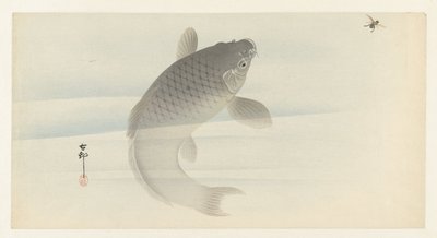 鲤鱼和苍蝇 作者 大原功臣