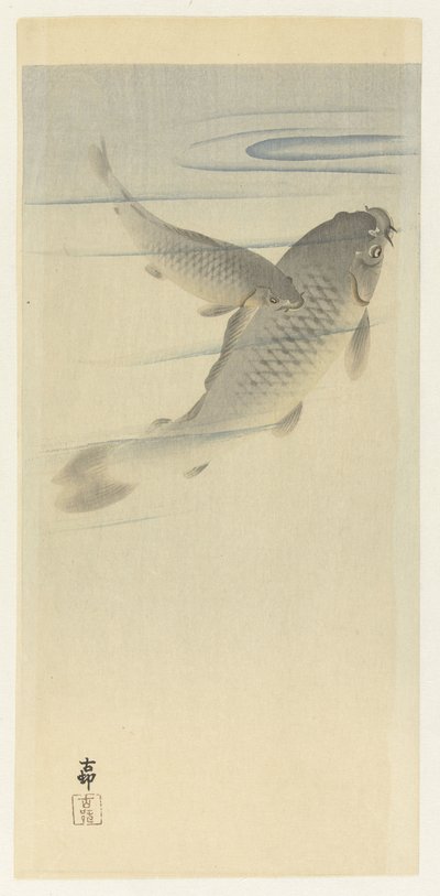 鲤鱼 作者 大原功臣