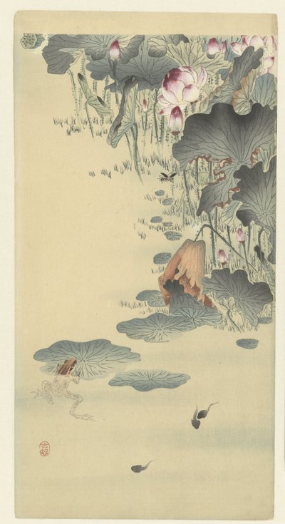 青蛙和蝌蚪 作者 大原功臣