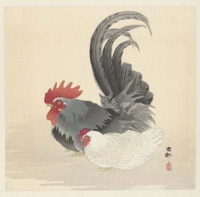 鸡和公鸡 作者 大原功臣