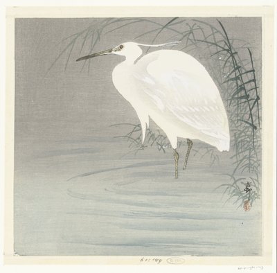 小白鹭 作者 松树平吉