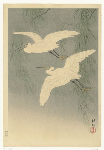 飞行中的小白鹭 作者 大原功臣