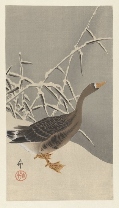 雪中白额雁 作者 大原功臣