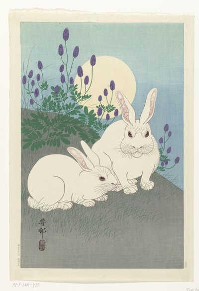 满月时的兔子 作者 大原功臣