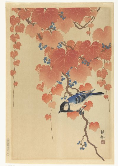 泡桐树枝上的大山雀 作者 大原功臣