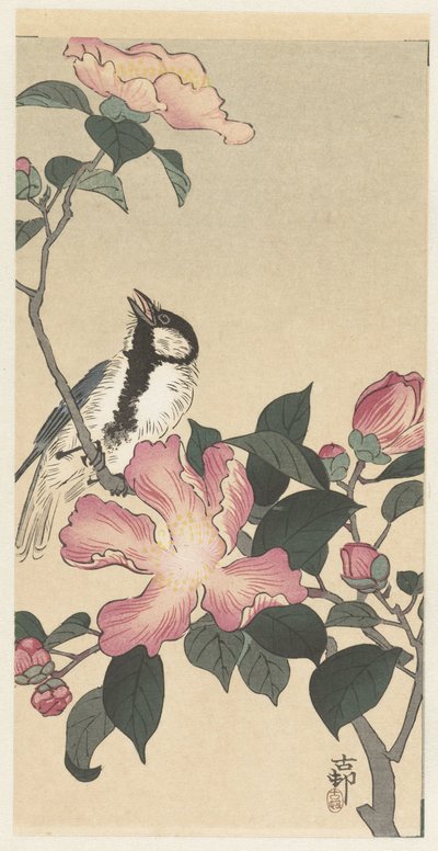 大山雀在开着粉色花朵的树枝上 作者 大原功臣