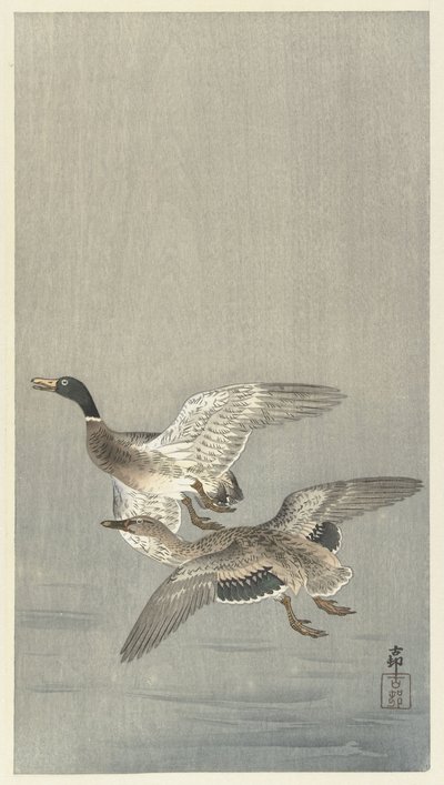 一对鸭子 作者 大原功臣