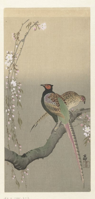 几只野鸡和樱花 作者 大原功臣