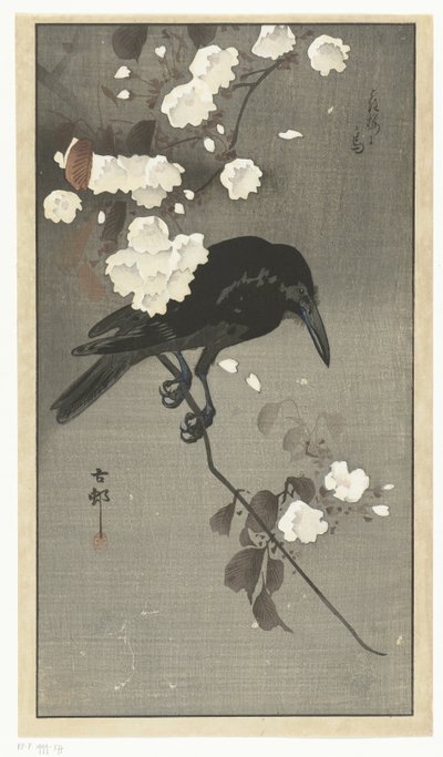 樱花乌鸦
花樱之鸟（物体上的标题） 作者 大原功臣