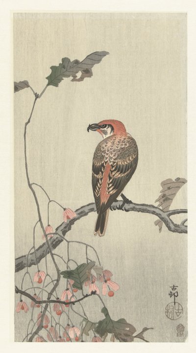 树枝上的鹖鸟 作者 秋山布右卫门