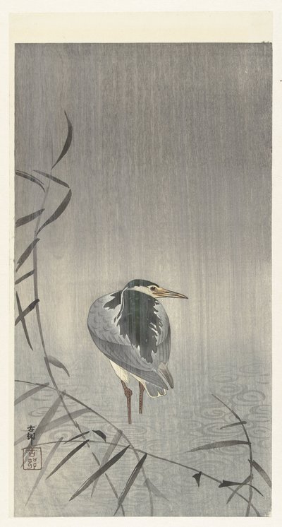 雨中呱呱叫 作者 大原功臣