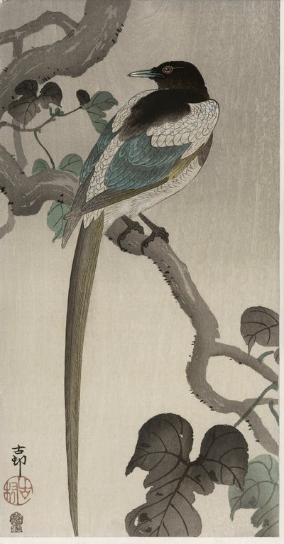 喜鹊在宝沃纳的树枝上（彩色木版画）。 作者 大原功臣