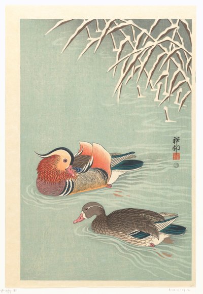 鸳鸯 作者 大原功臣