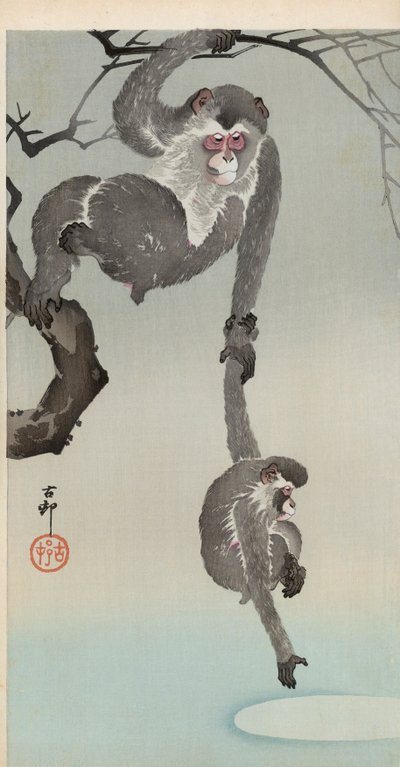 猴子和婴儿伸手去拿月亮的反射 作者 大原功臣