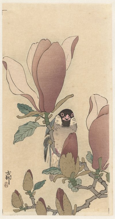 玉兰花枝上的麻雀 作者 大原功臣