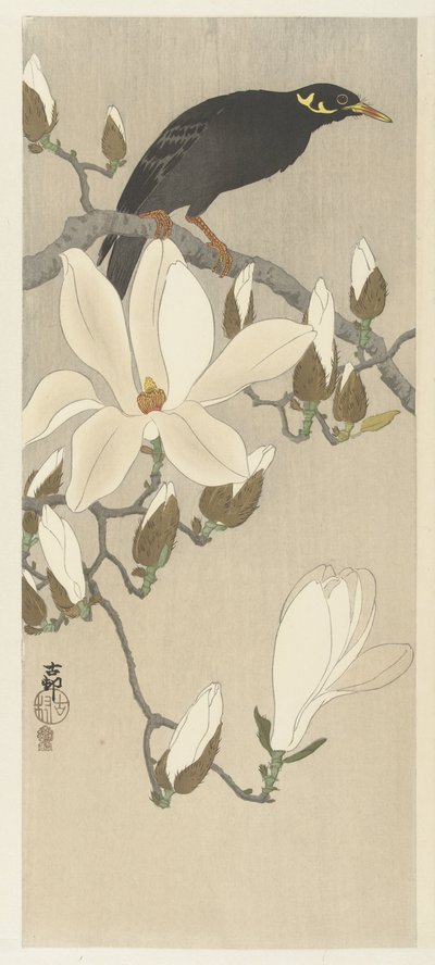木兰枝上的麦娜 作者 大原功臣