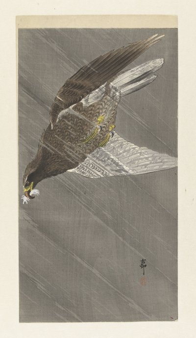 下飞鹰 作者 大原功臣