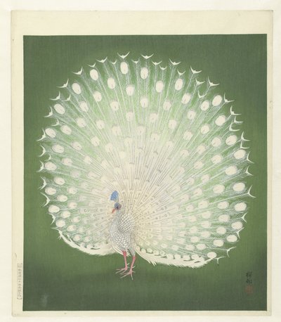 孔雀 作者 大原功臣