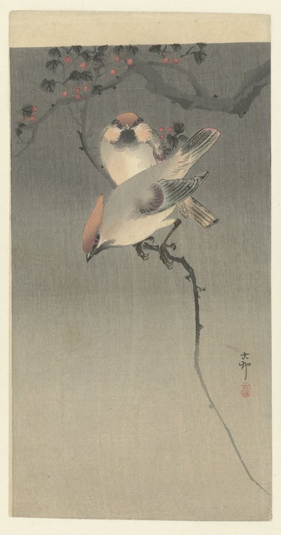 小霸王鸟 作者 大原功臣