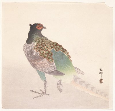 雉鸡（彩色木版画） 作者 大原功臣