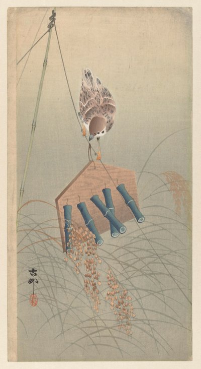 稻草人上的环斑麻雀 作者 大原功臣