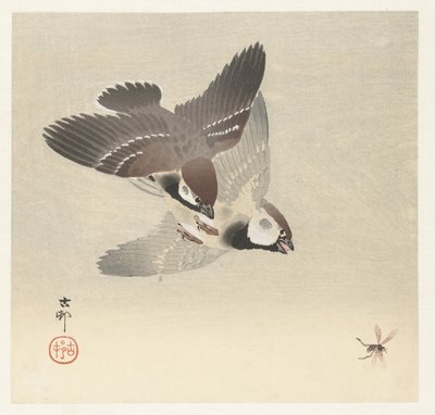 环麻雀和昆虫 作者 大原功臣
