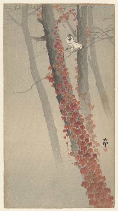 红常春藤 作者 松树平吉