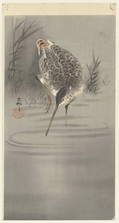水中鹬 作者 大原功臣