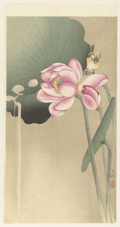 鸣鸟与莲花 作者 大原功臣