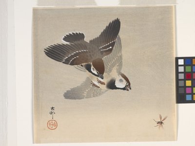 麻雀追飞虫（彩色木版画） 作者 大原功臣