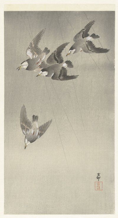 雨中的椋鸟 作者 大原功臣