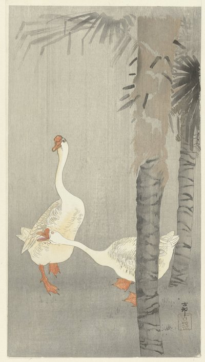 雨中的塔姆 作者 大原功臣