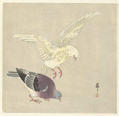 两只鸽子 作者 大原功臣