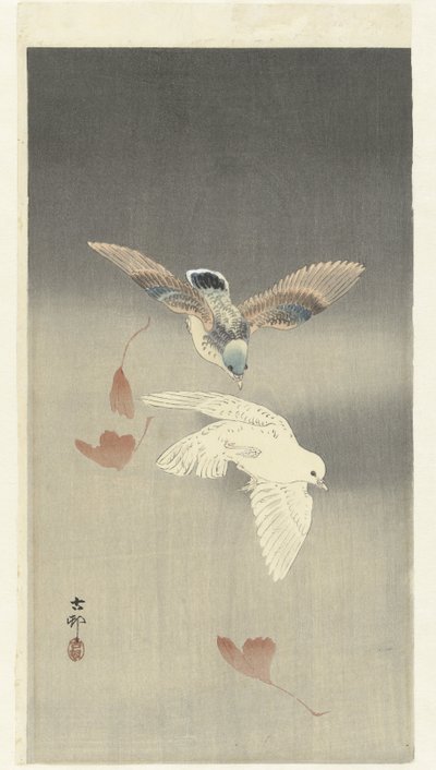 银杏落叶旁的两只鸽子 作者 大原功臣