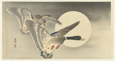 满月里的两只鸭子 作者 大原功臣
