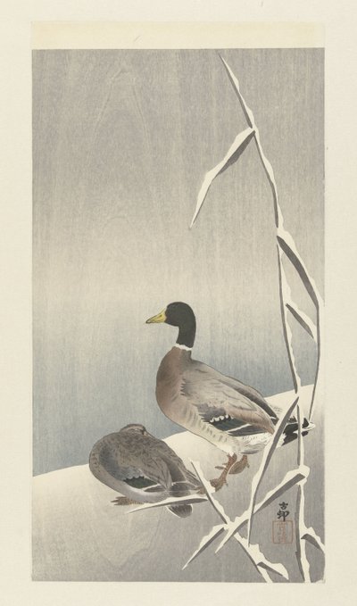Twee eenden op besneeuwde rietover 作者 大原功臣