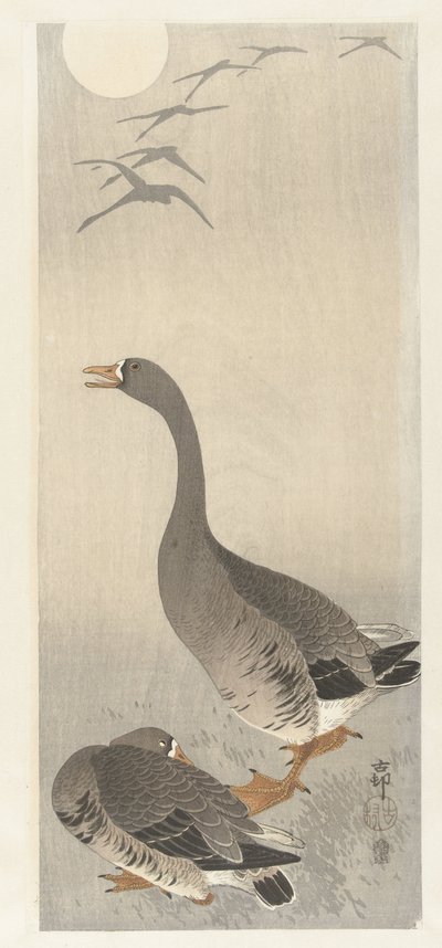两只鹅 作者 大原功臣