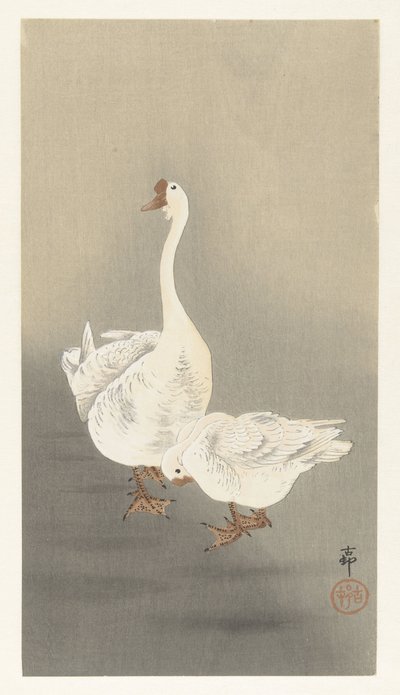 两只鹅 作者 大原功臣