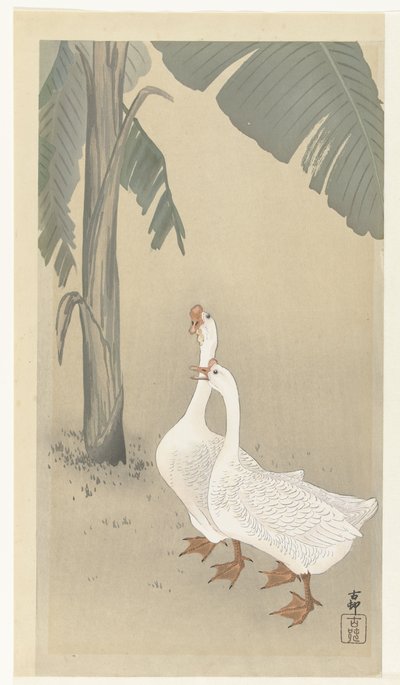 香蕉树旁的两只鹅 作者 大原功臣