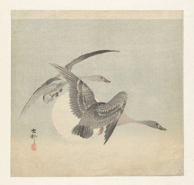 两只正在飞行的藤壶雁 作者 大原功臣