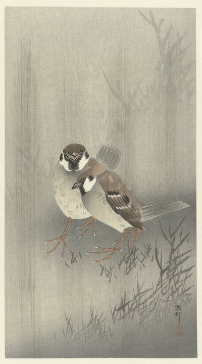 雨中的两只环雀 作者 大原功臣