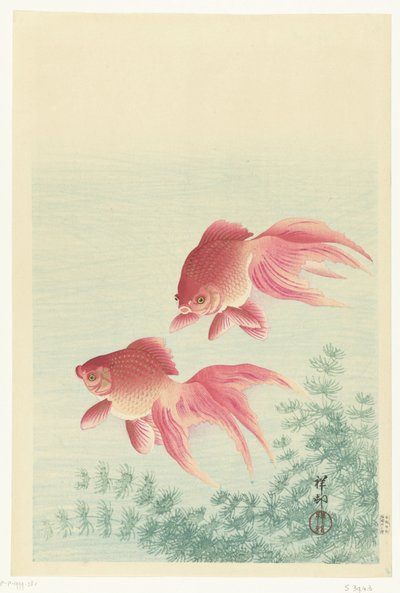 两条纱尾金鱼 作者 大原功臣