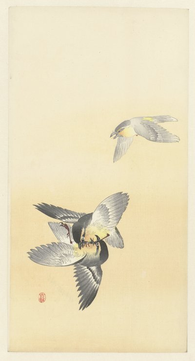两只斗鸟 作者 大原功臣