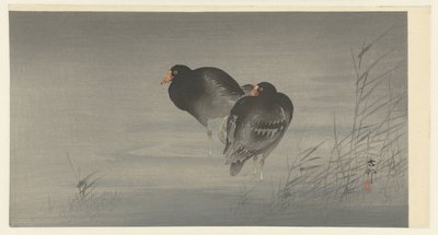两只月鹭 作者 大原功臣