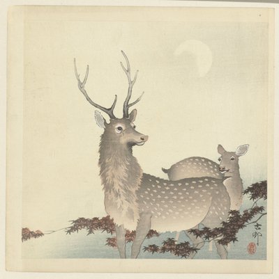 两只鹿 作者 大原功臣