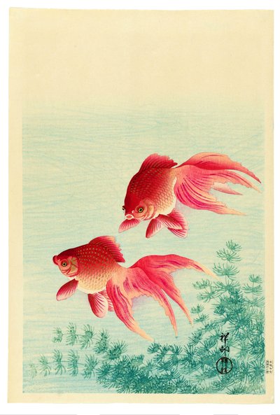 两条纱尾金鱼 作者 大原功臣