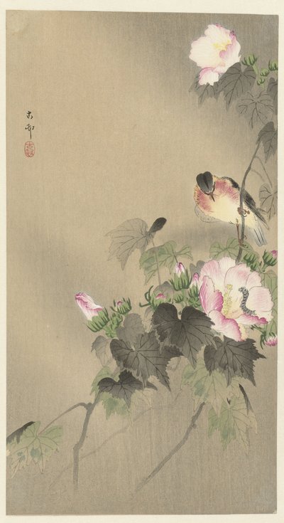 鸟和毛毛虫 作者 大原功臣
