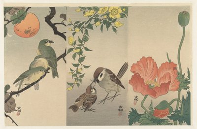 鸟类和植物 作者 大原功臣