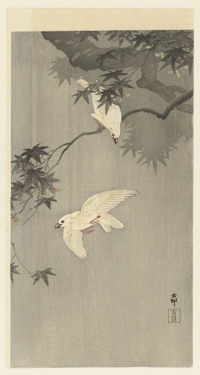 雨中的鸟儿 作者 大原功臣