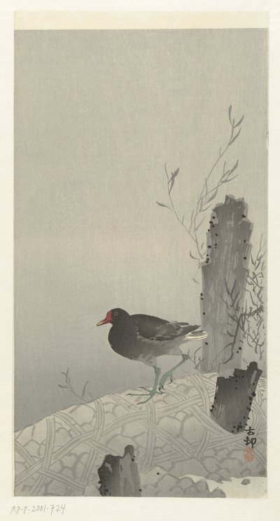摩亨 作者 大原功臣